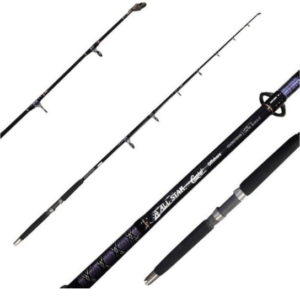 Caña All Star Coastal 2,10 Mts 60 Lbs 1 Tr