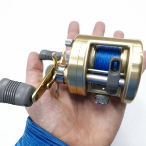Reel Shimano Calcutta 250 Usado