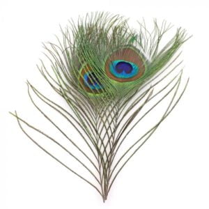Material De Atado Mosca Peacock Eyes